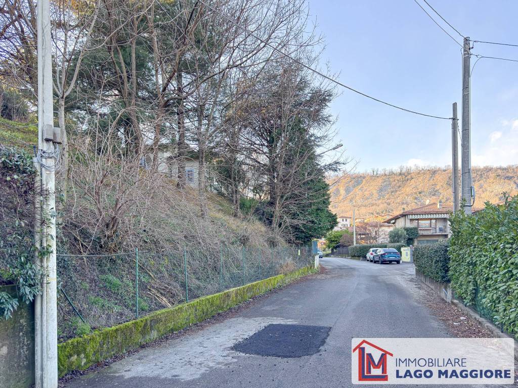 immagine annuncio 12 di 14