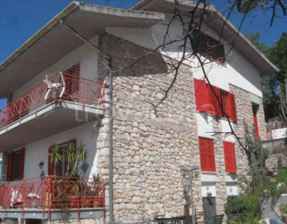 immagine annuncio 9 di 12