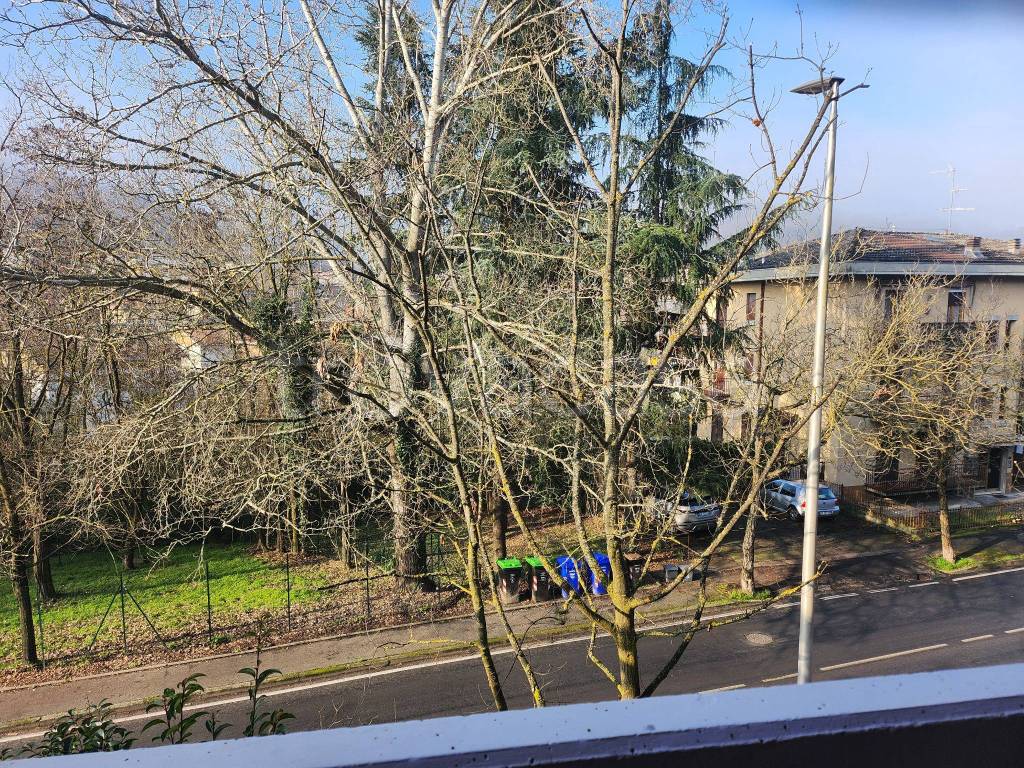 immagine annuncio 12 di 13