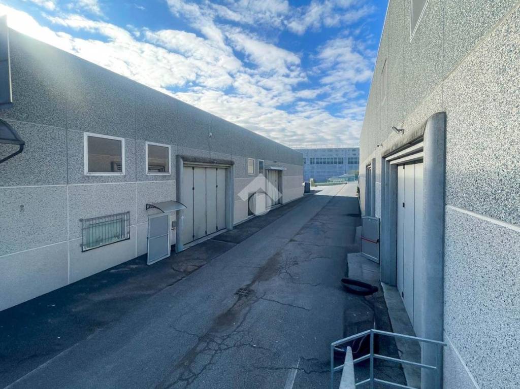 immagine annuncio 10 di 15