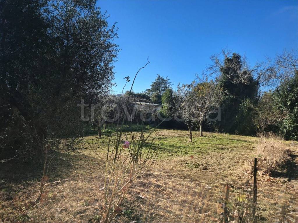 immagine annuncio 2 di 8