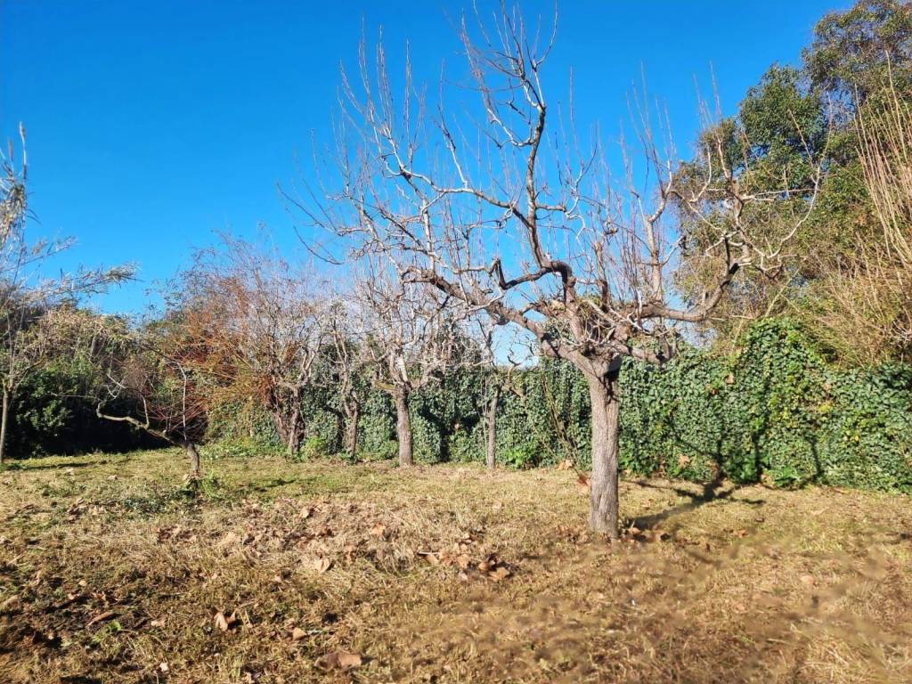 immagine annuncio 3 di 8