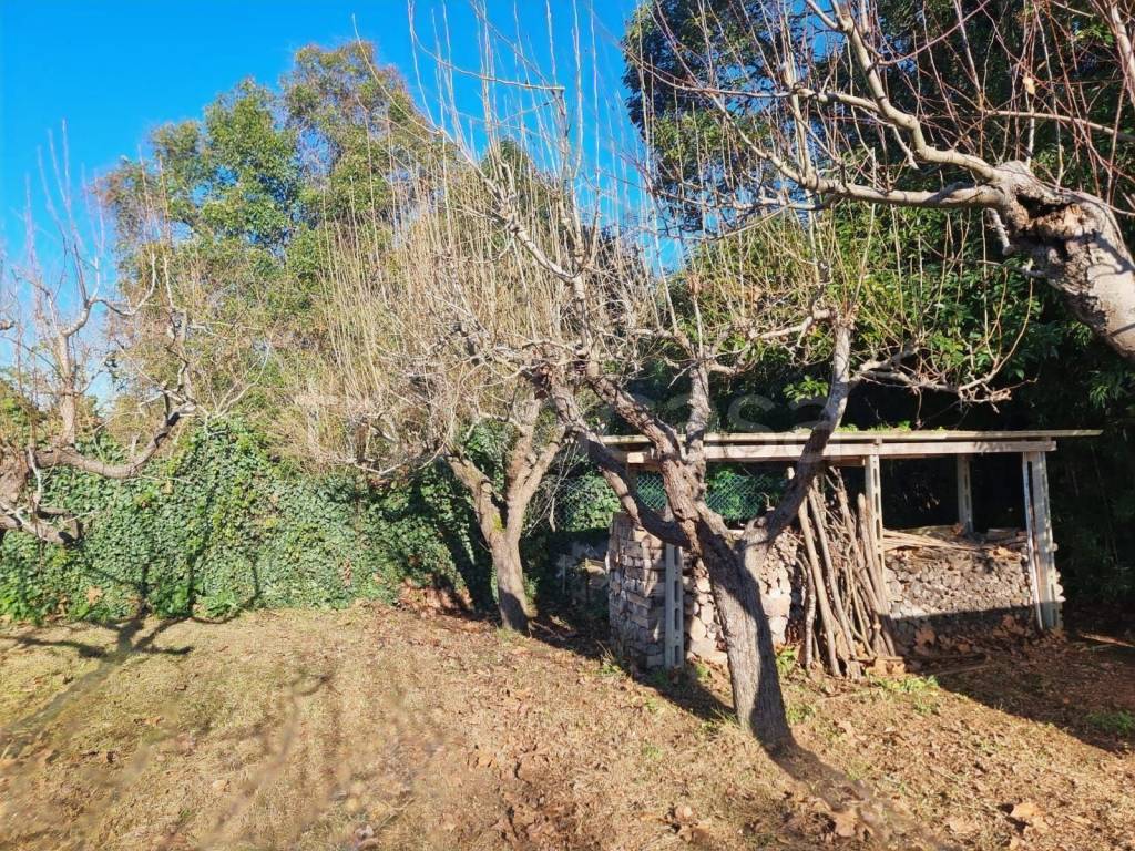 immagine annuncio 4 di 8