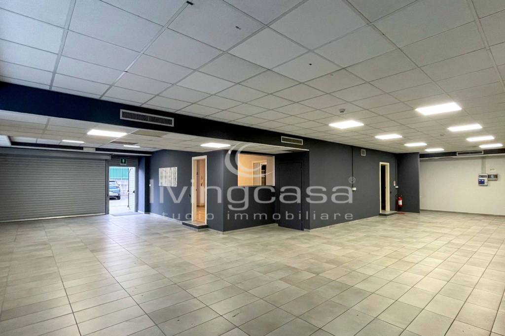 immagine annuncio 8 di 14