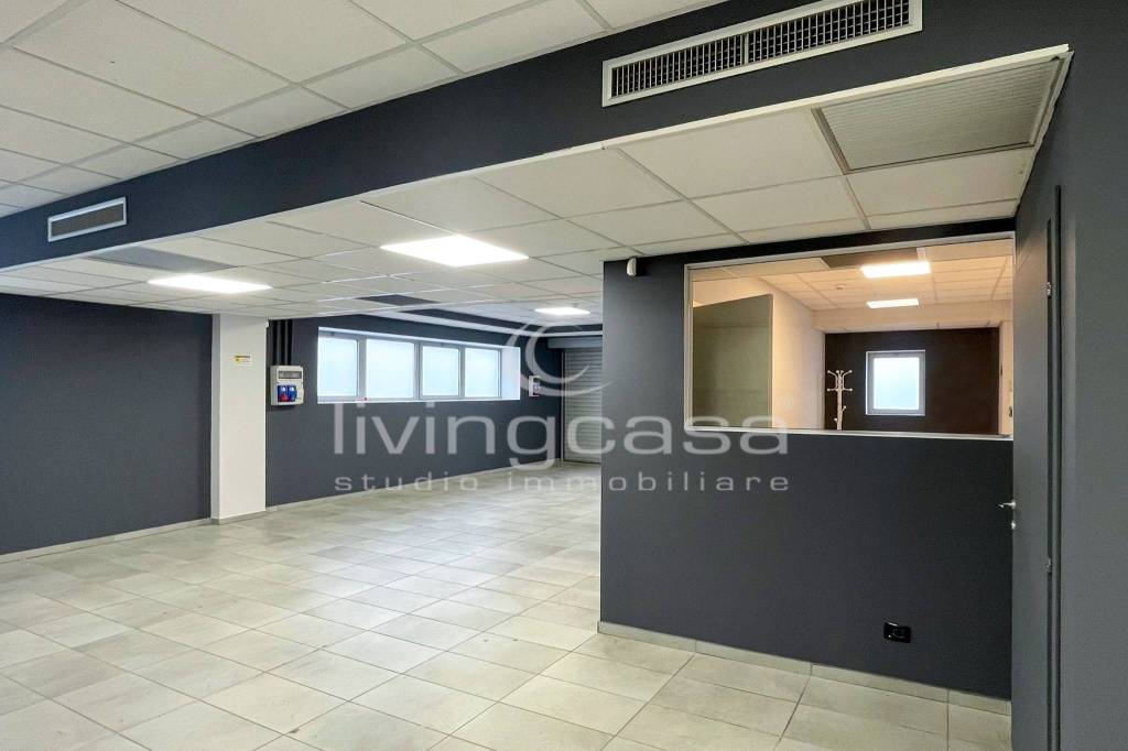 immagine annuncio 11 di 14