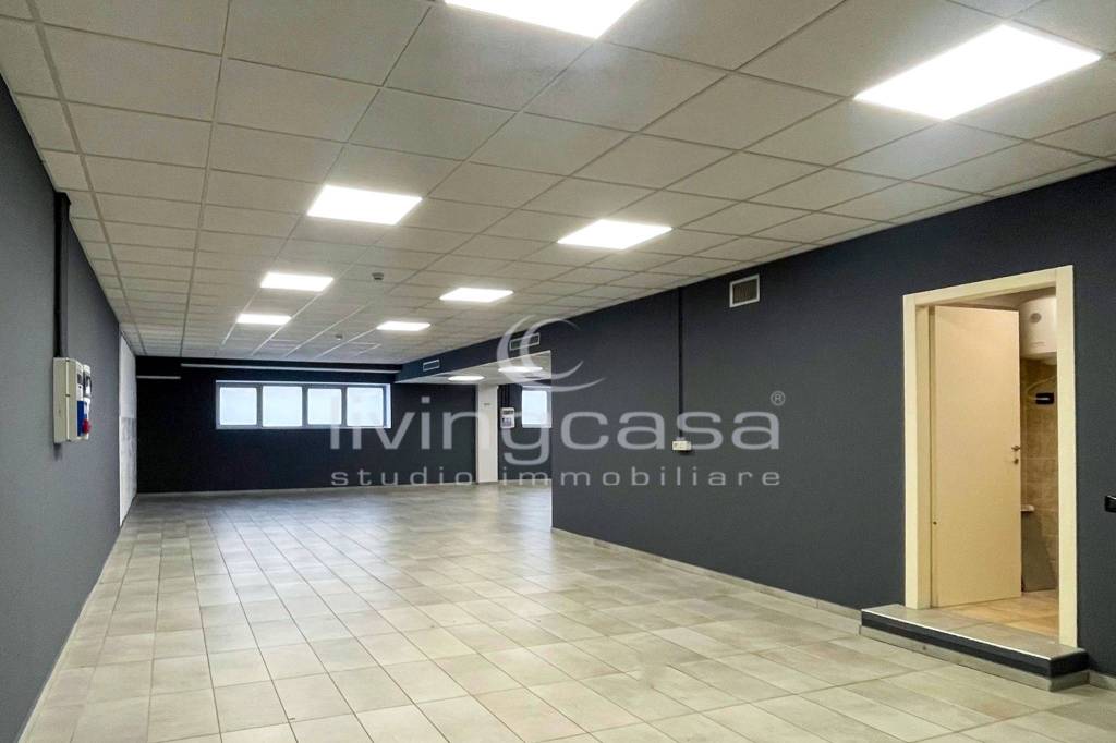 immagine annuncio 12 di 14