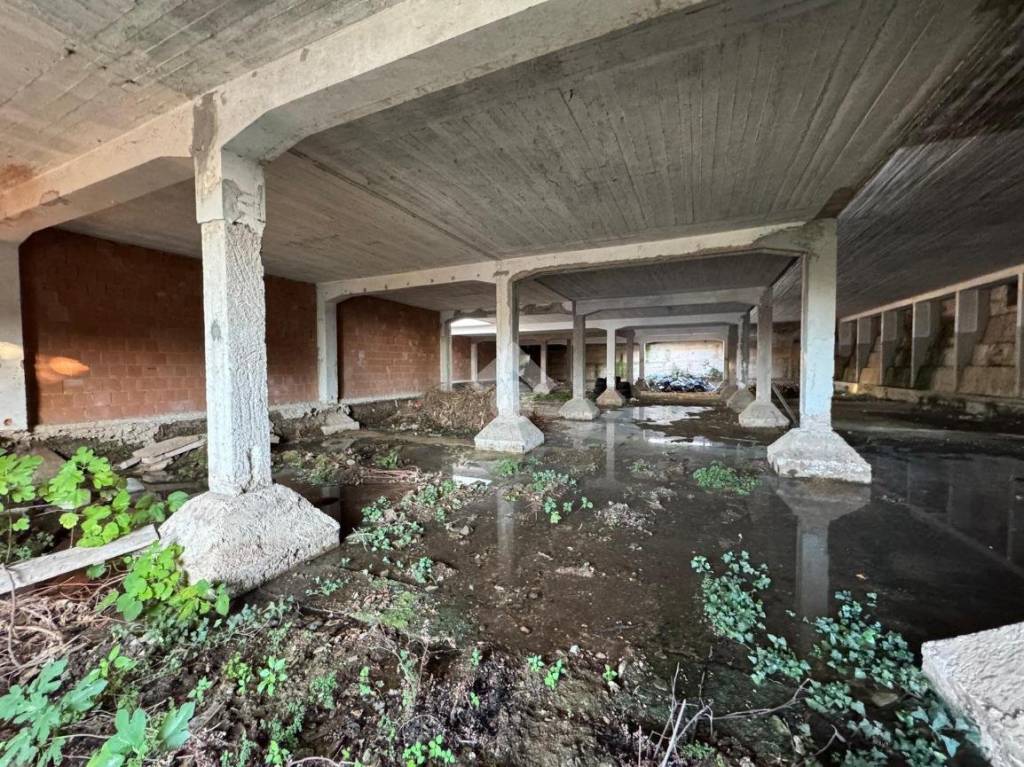 immagine annuncio 5 di 7