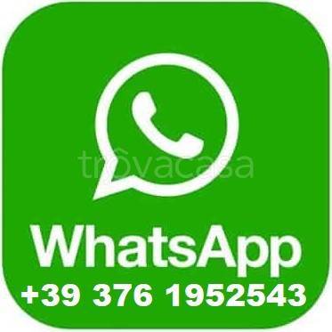 immagine annuncio 1 di 2