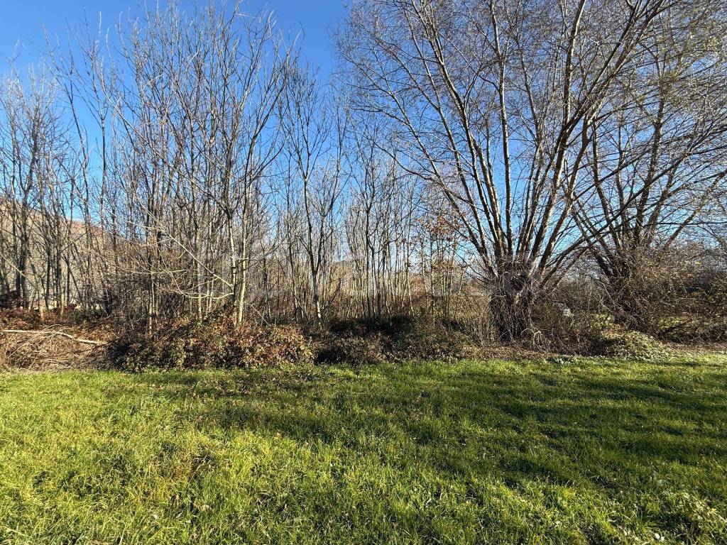 immagine annuncio 1 di 6