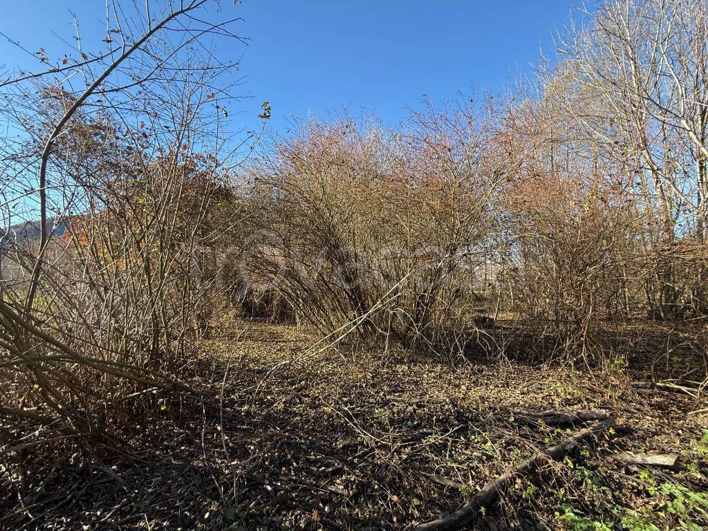 immagine annuncio 5 di 6