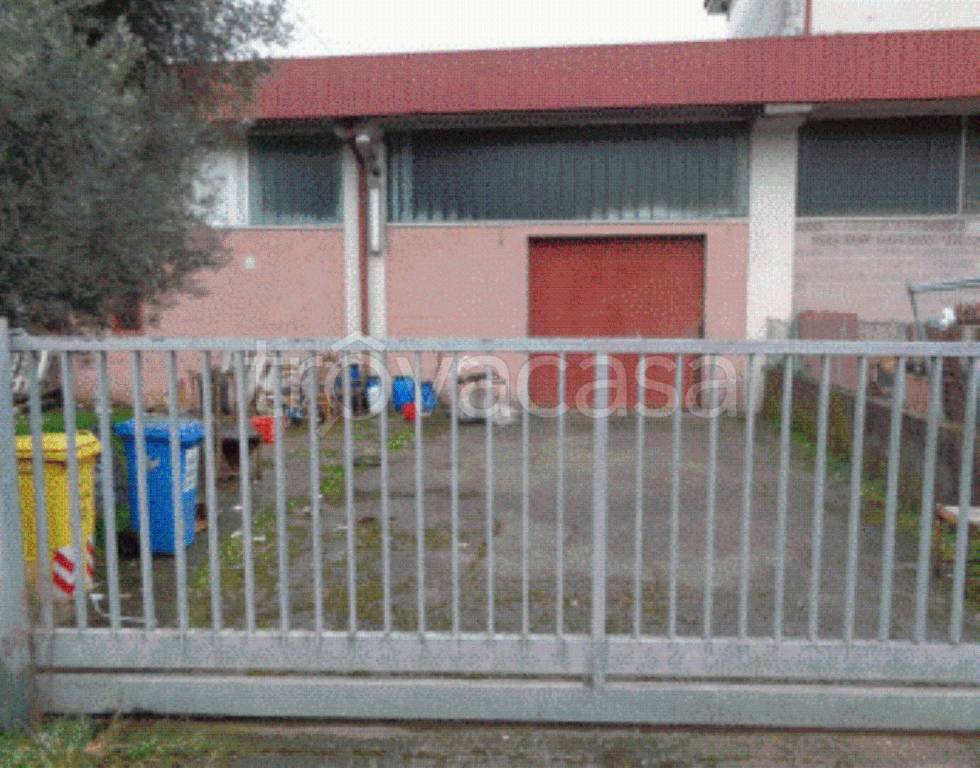 immagine annuncio 4 di 13