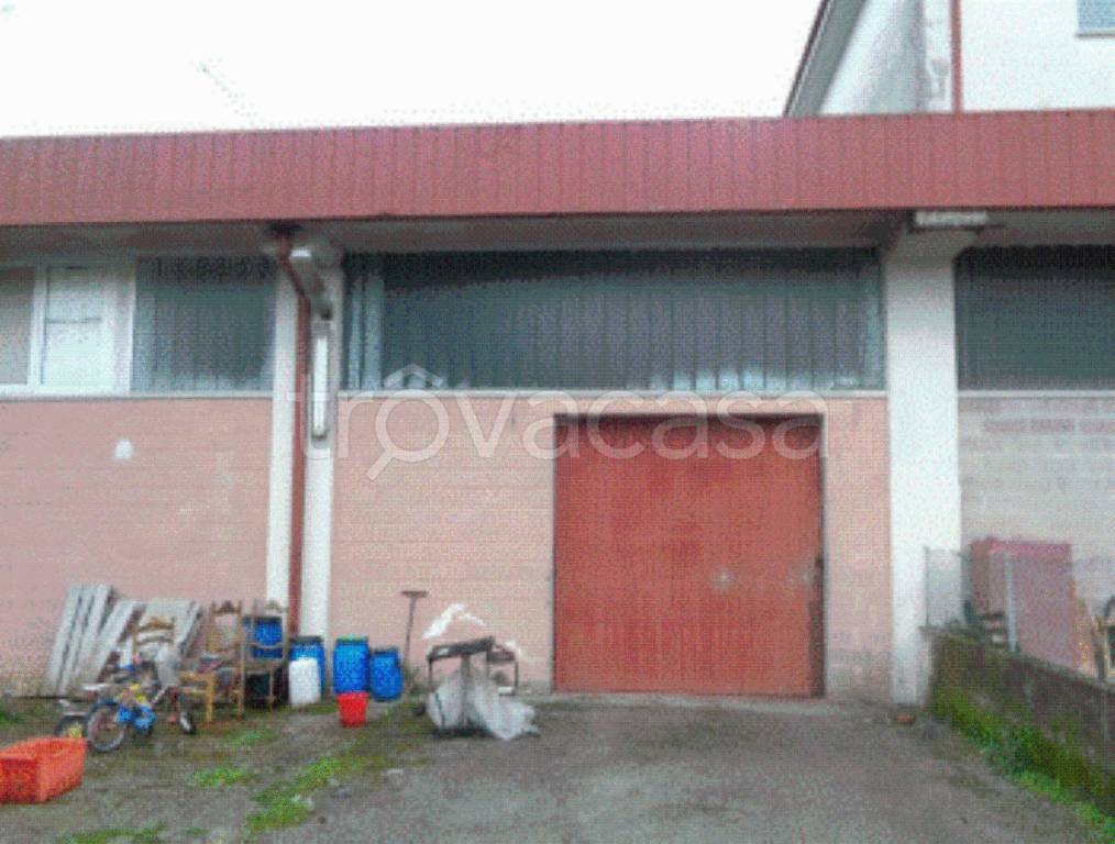 immagine annuncio 5 di 13