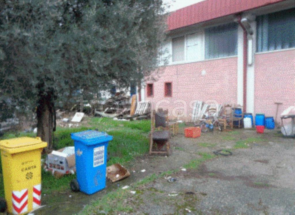 immagine annuncio 6 di 13