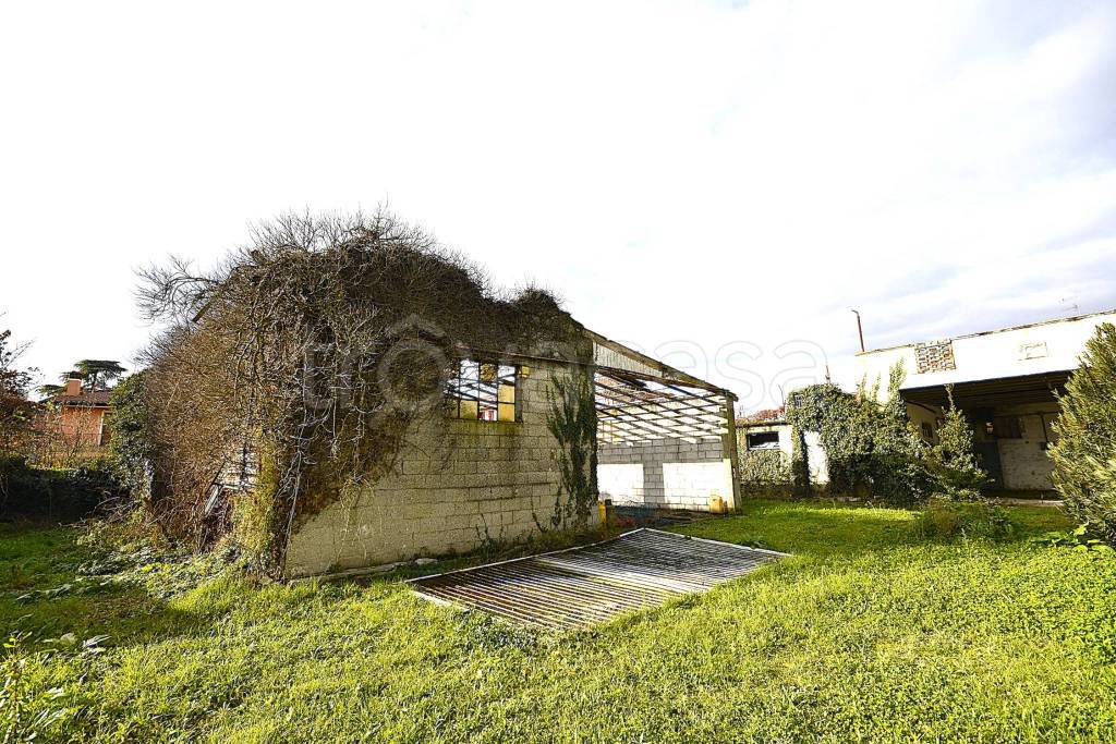 immagine annuncio 6 di 13