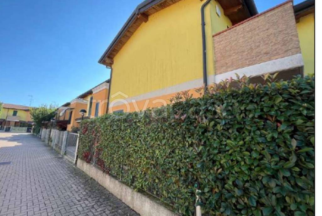 immagine annuncio 3 di 11