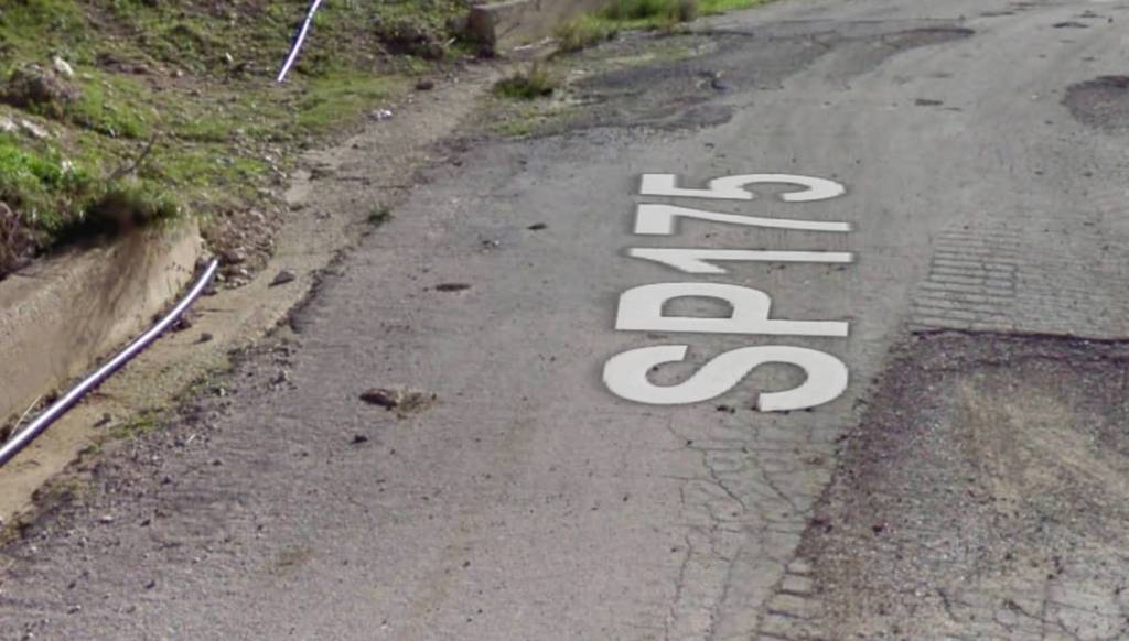 immagine annuncio 12 di 13