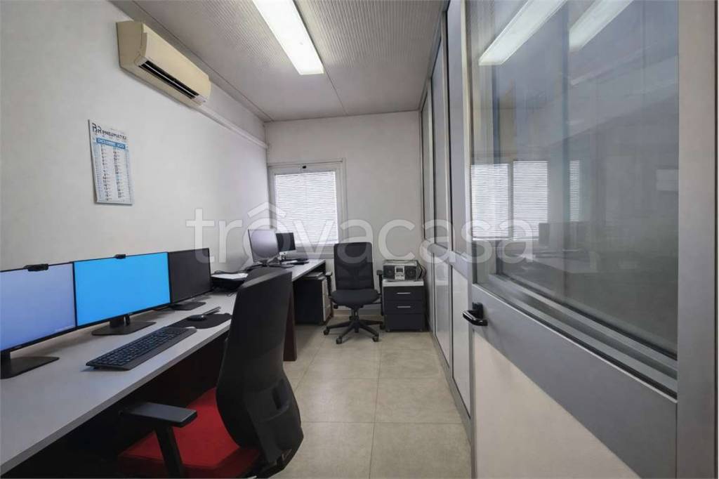 immagine annuncio 2 di 11