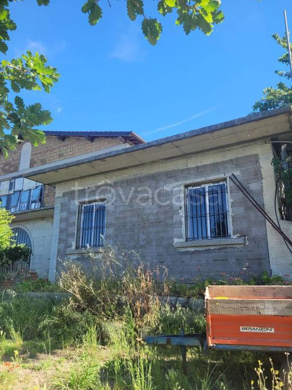 immagine annuncio 9 di 11