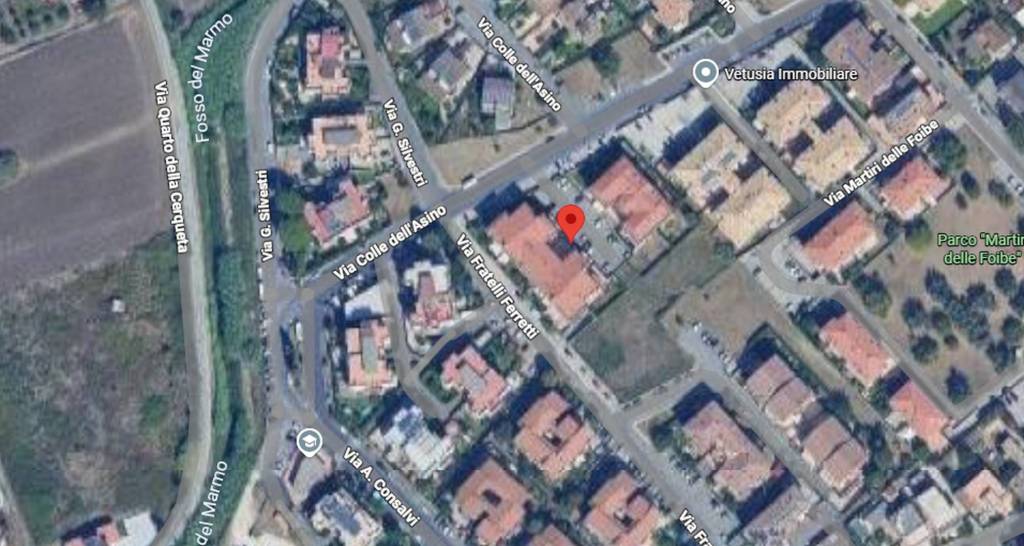 immagine annuncio 6 di 11