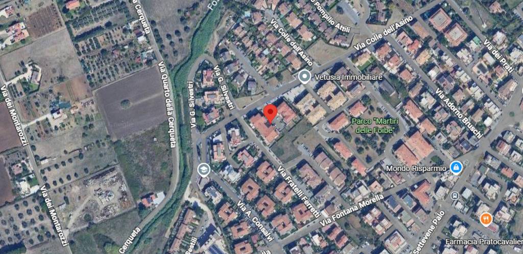 immagine annuncio 10 di 11