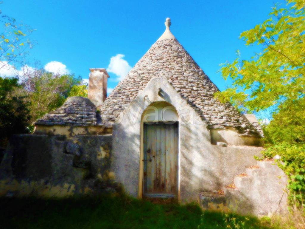 immagine annuncio 9 di 12