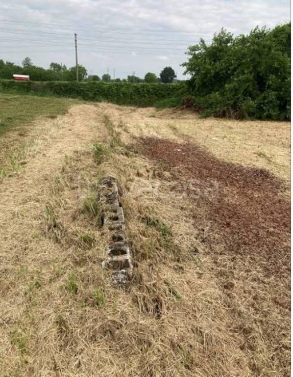 immagine annuncio 3 di 13