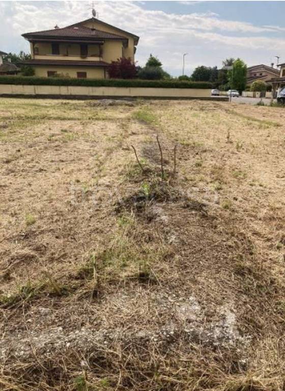 immagine annuncio 4 di 13