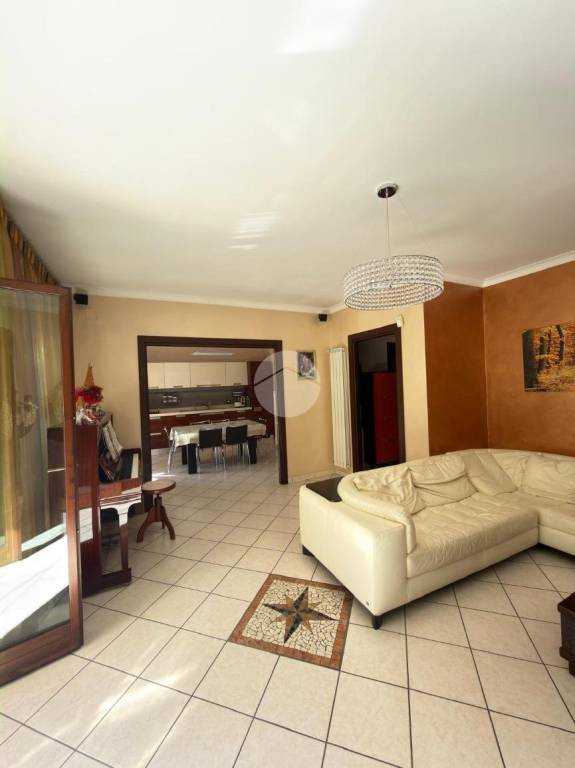 immagine annuncio 2 di 13