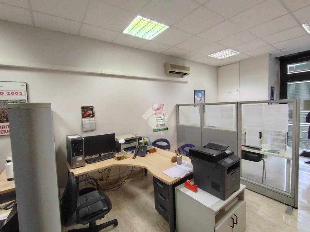 immagine annuncio 5 di 14