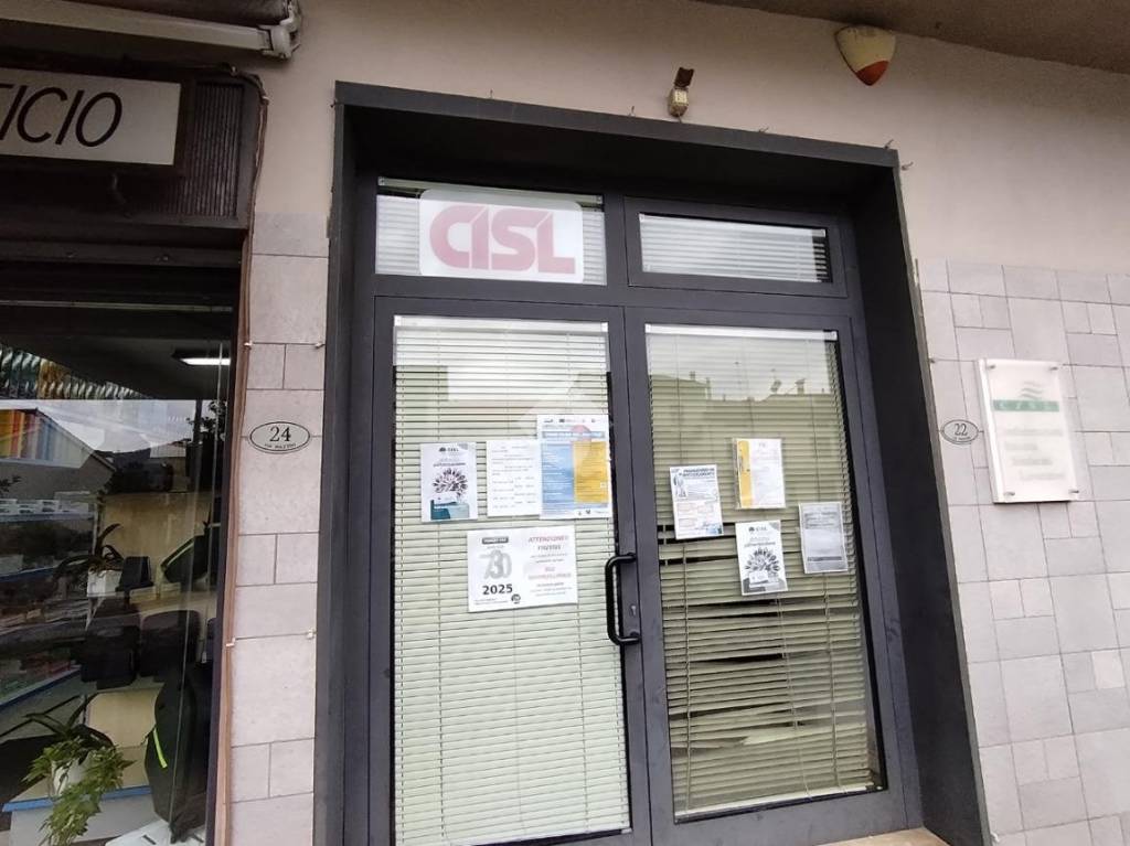 immagine annuncio 11 di 14