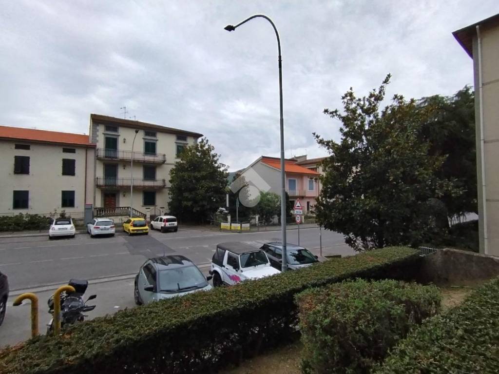 immagine annuncio 12 di 14