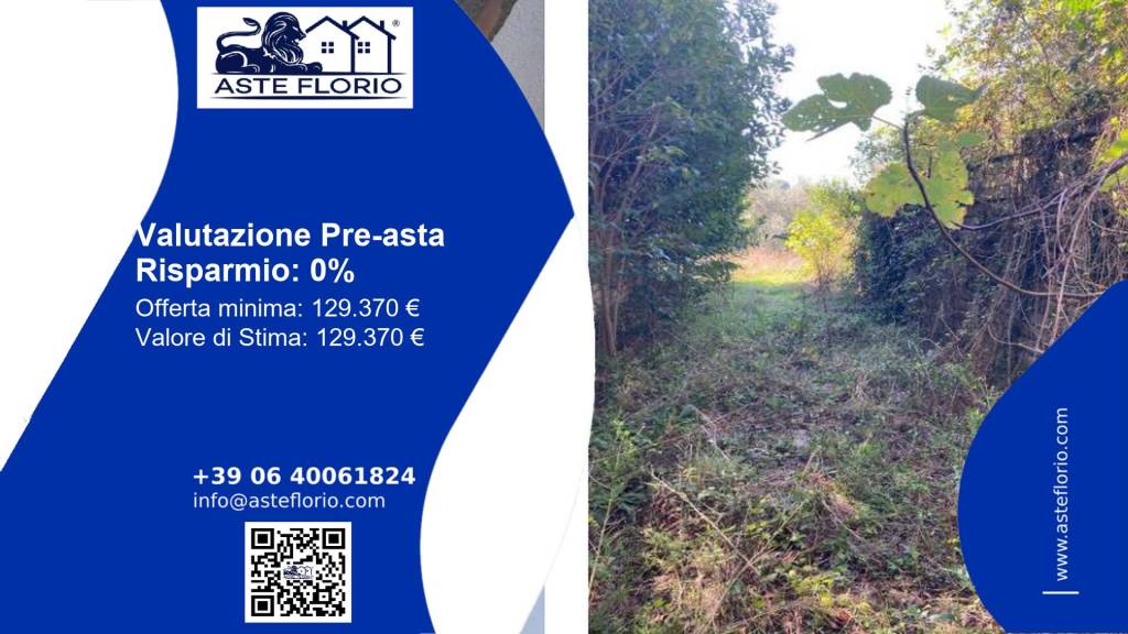 immagine annuncio 9 di 14