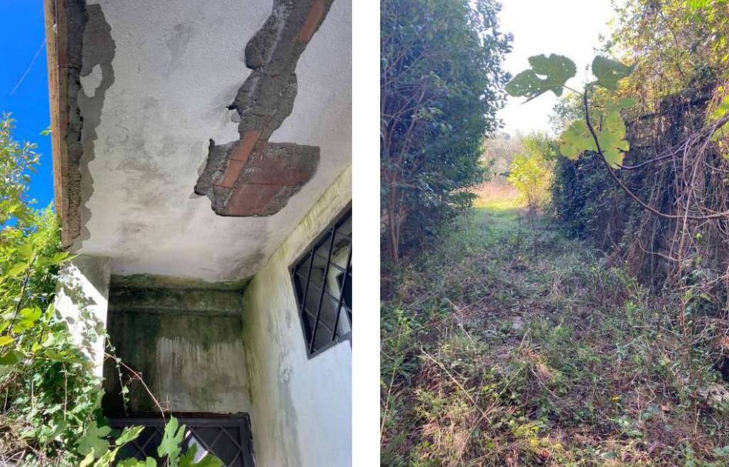 immagine annuncio 7 di 14