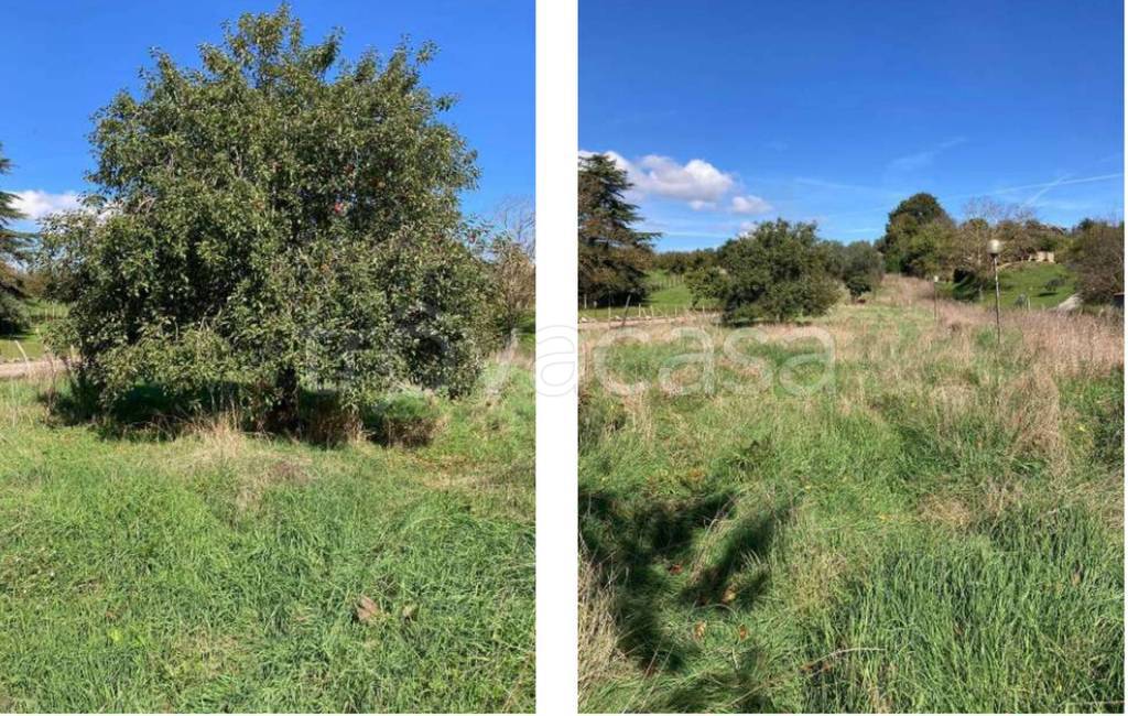 immagine annuncio 8 di 14