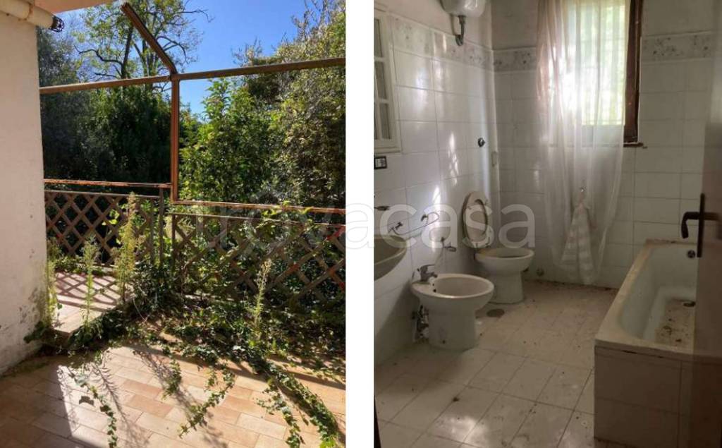 immagine annuncio 10 di 14