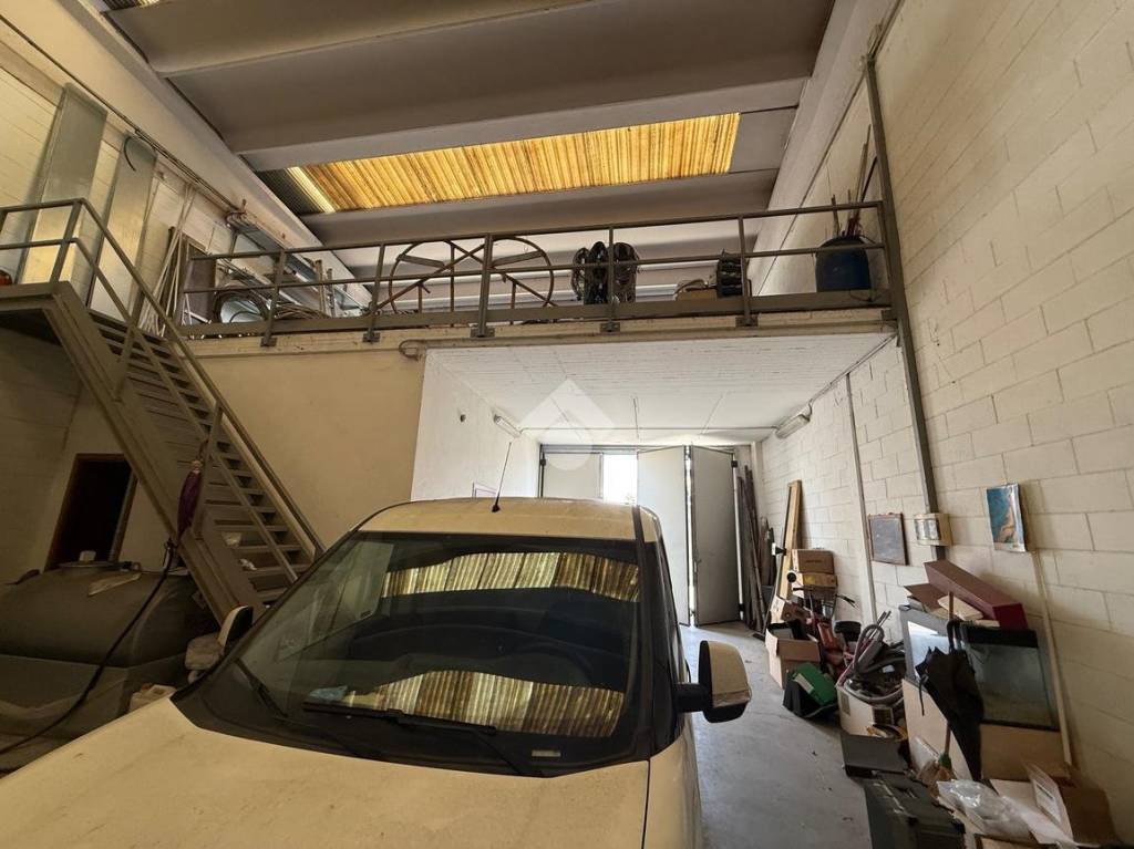 immagine annuncio 1 di 13