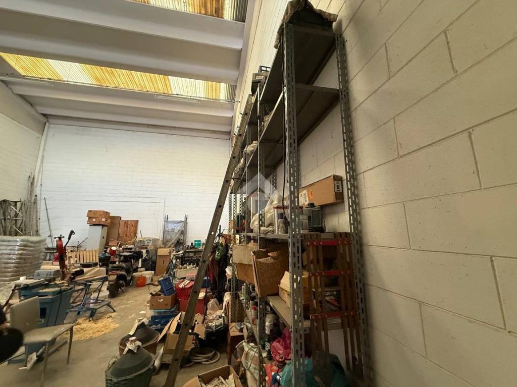 immagine annuncio 3 di 13