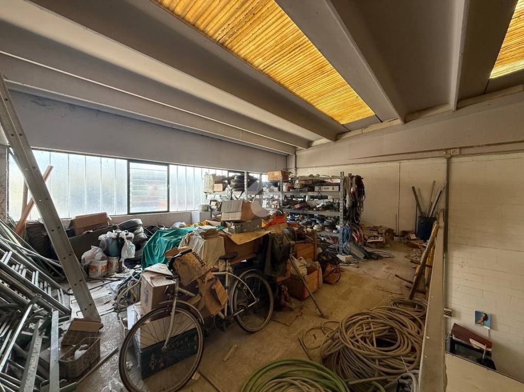 immagine annuncio 9 di 13