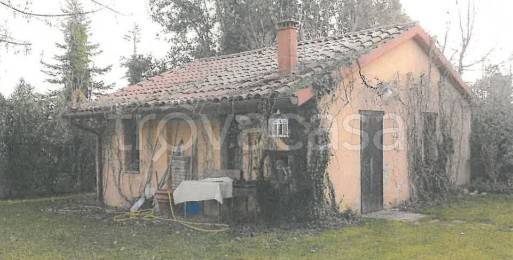 immagine annuncio 5 di 14