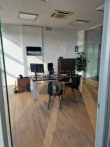 immagine annuncio 2 di 8