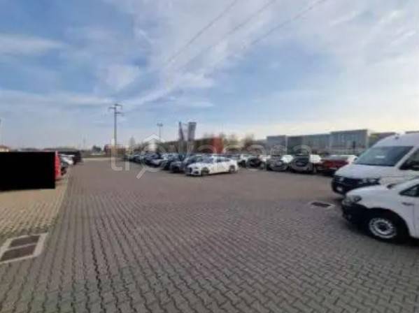 immagine annuncio 3 di 8