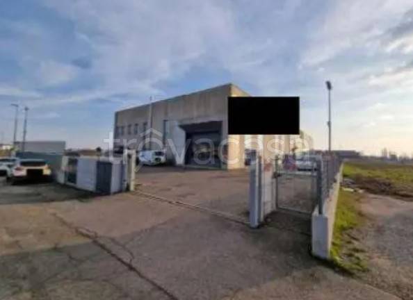 immagine annuncio 4 di 8