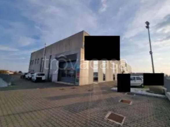 immagine annuncio 5 di 8