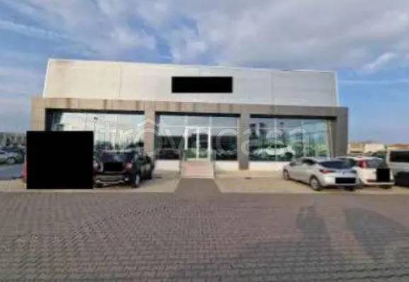 immagine annuncio 6 di 8