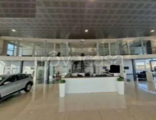 immagine annuncio 7 di 8