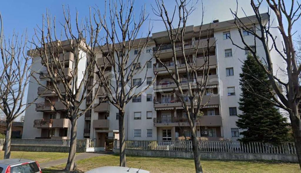 immagine annuncio 9 di 15