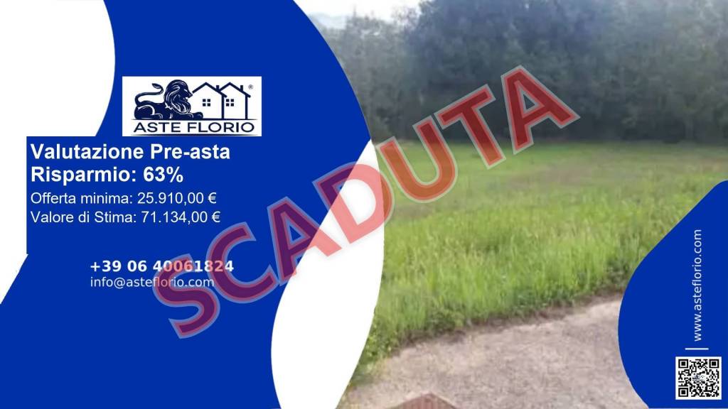 immagine annuncio 1 di 14