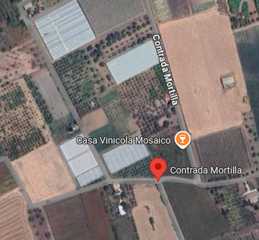 immagine annuncio 8 di 10