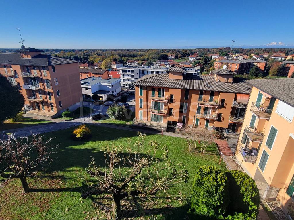 immagine annuncio 9 di 12