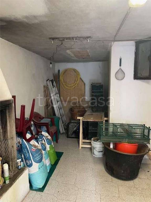 immagine annuncio 11 di 14